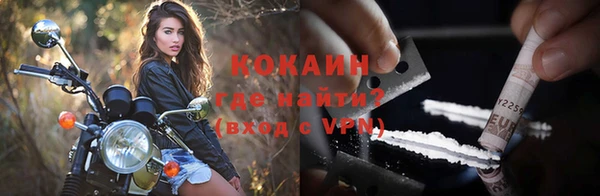 кокс Болотное
