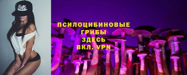 шишки Нефтекумск