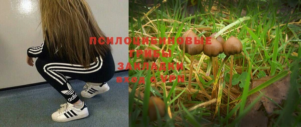 дмт Новозыбков