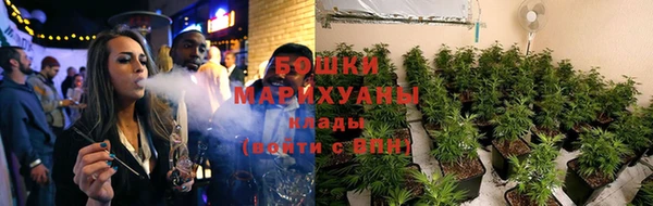 кокс Болотное