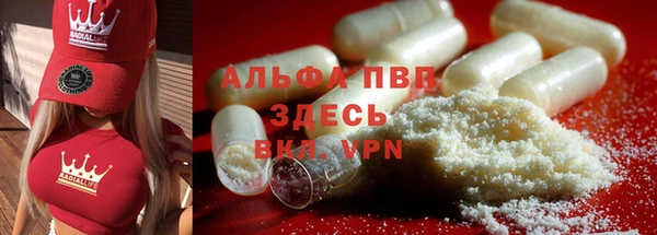 таблы Новодвинск