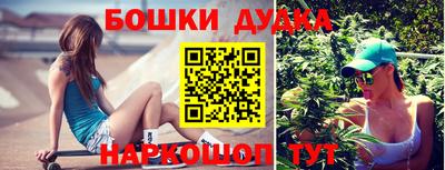 соль ск Дубна