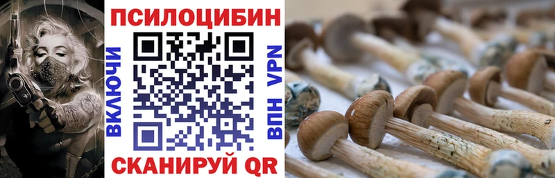 купить  сайты  Красногорск  omg   Галлюциногенные грибы прущие грибы 