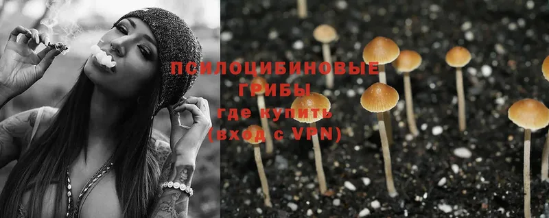 Псилоцибиновые грибы MAGIC MUSHROOMS  Красногорск 