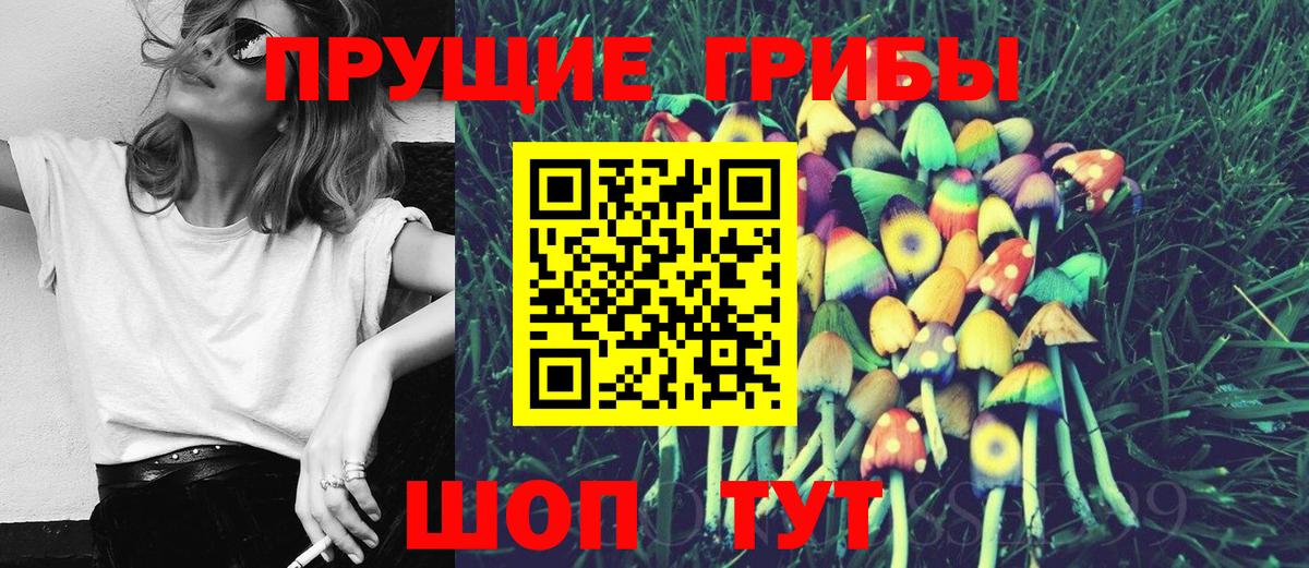 Псилоцибиновые грибы прущие грибы  Вход с VPN  Красногорск 